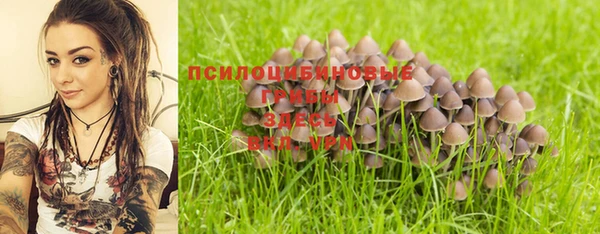 apvp Горно-Алтайск