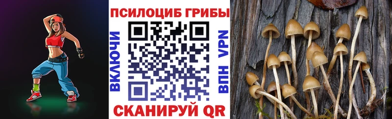 MEGA как войти  площадка официальный сайт  Псилоцибиновые грибы Psilocybe  Данков 