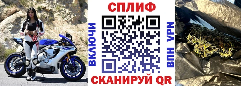 Каннабис ГИДРОПОН  Данков 